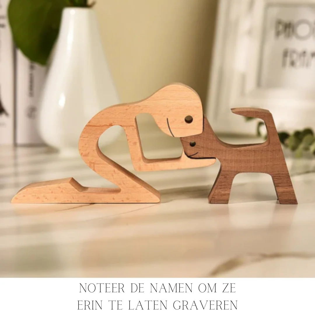 Miniatuur 4
