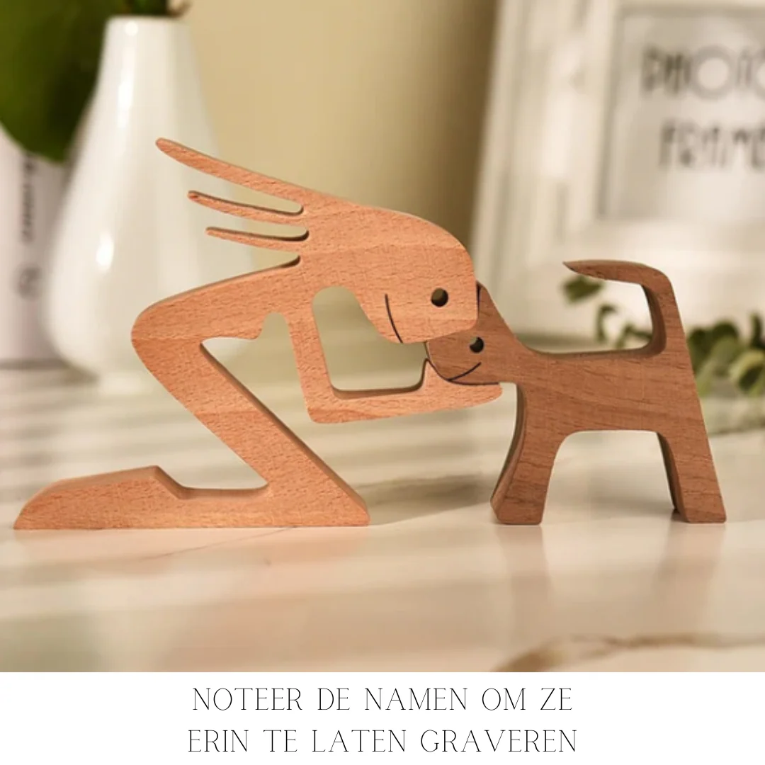 Miniatuur 5