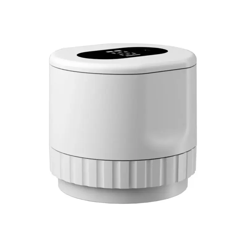 Miniatuur 3